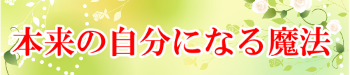 VEIL,Veil, veil,���g,�G�X�e,�L���r�e�[�V����,�t�F�C�V����,����,�r��